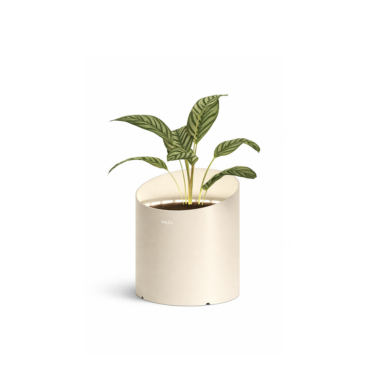 Світлове кашпо Wedge Ivory Medium, MAZU
